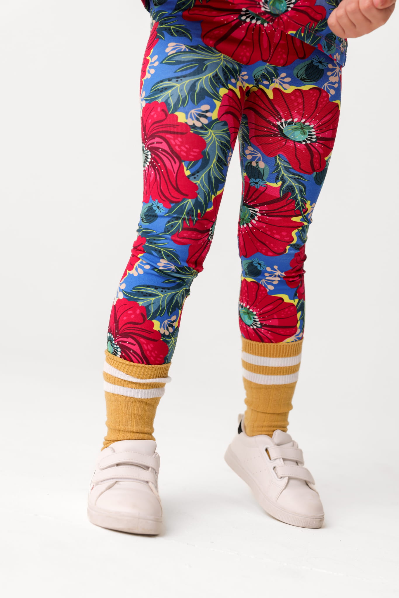 hey popinjay-157web.JPG